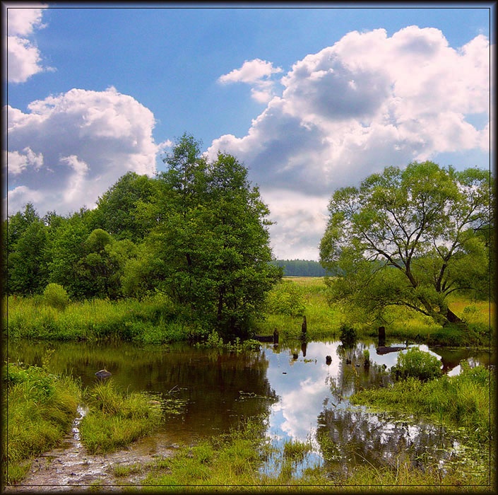 Реченька Уша