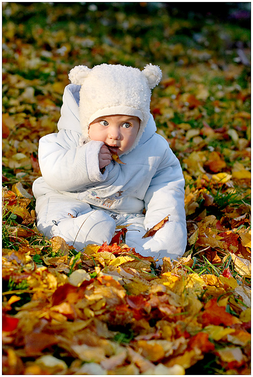 Вкус осени 2