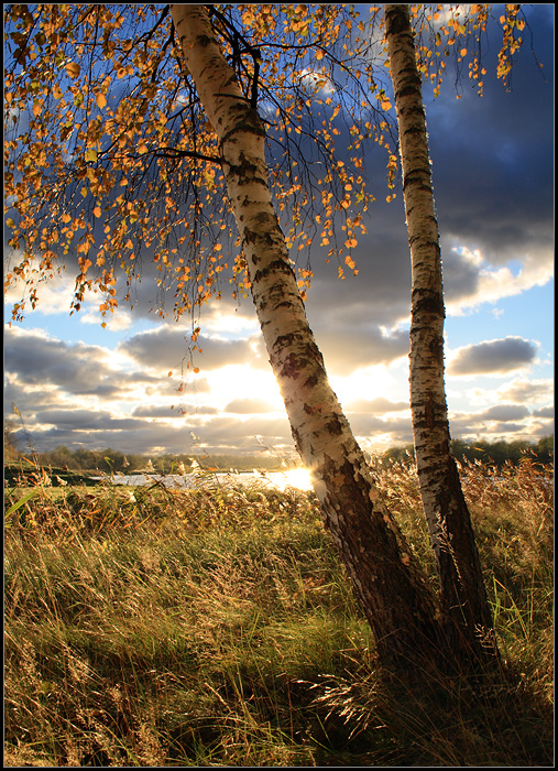 Прощай oceнь