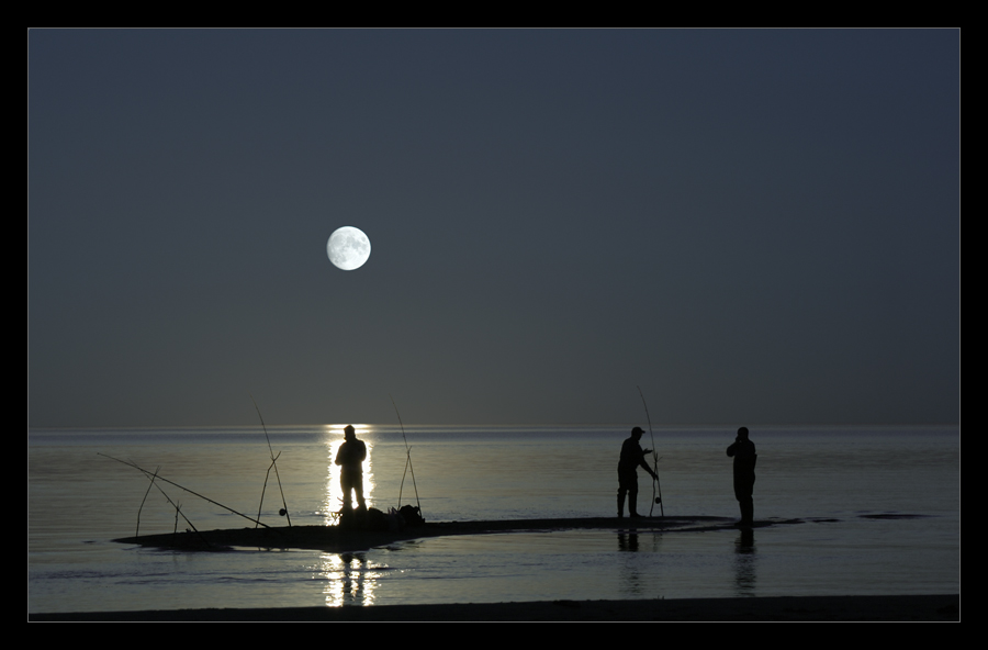 Moonlight Fishing