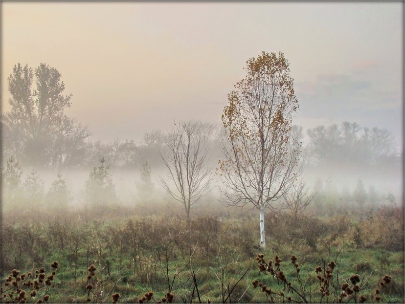 ранні ранак, позьняя восень