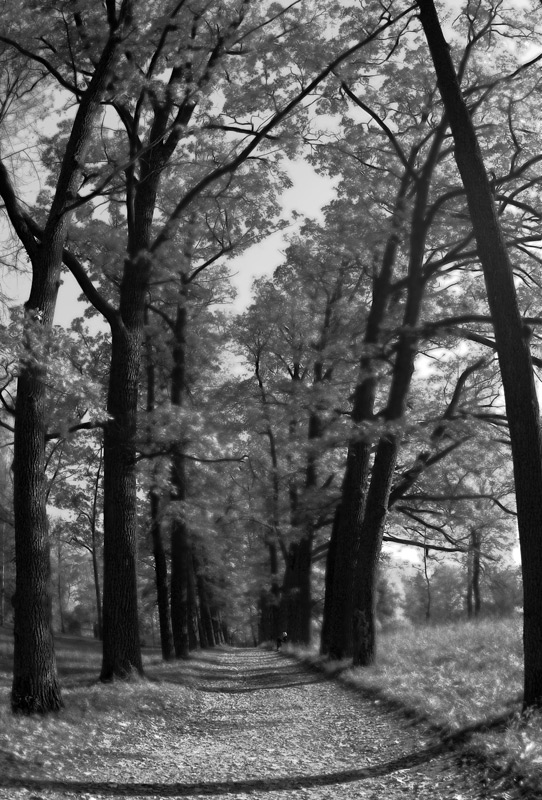 осень одного дня...