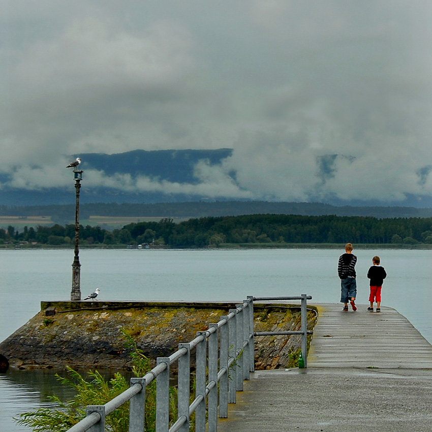 Братья и птицы