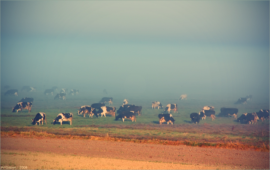 ...утро раннее