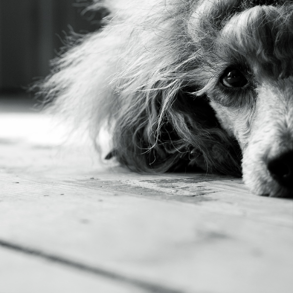 ...иногда бывает грустно...