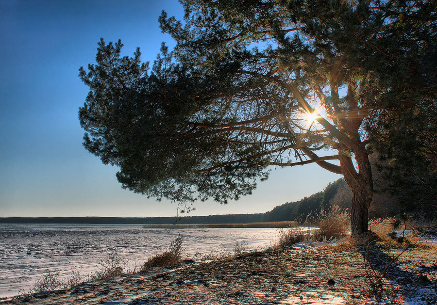 На нарочи зимой