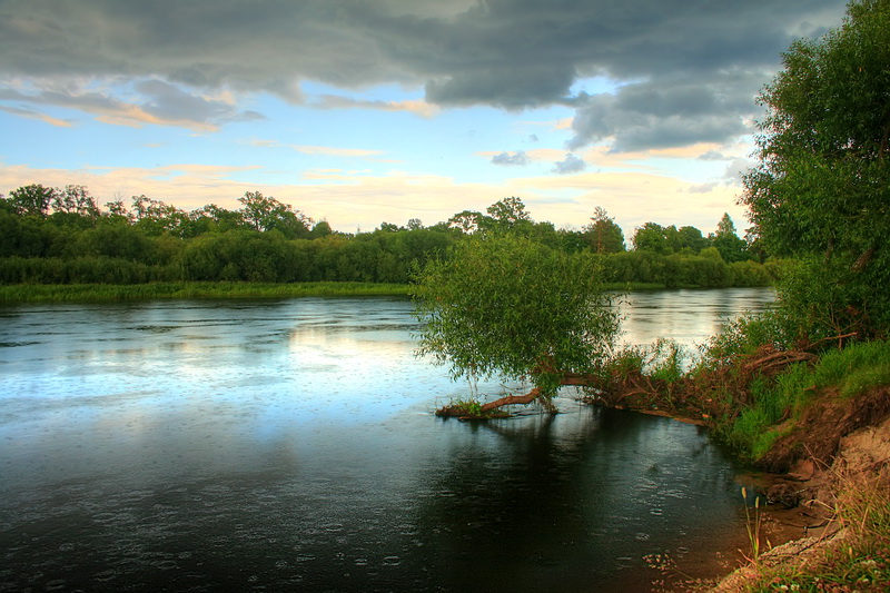 Нормальный летний...