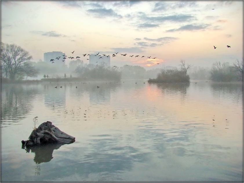 адлятай, маё лета...