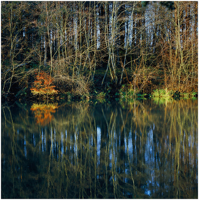 Японские мотивы