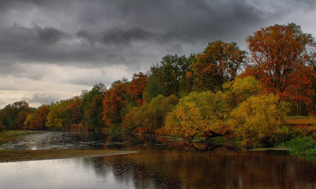 Золотые берега