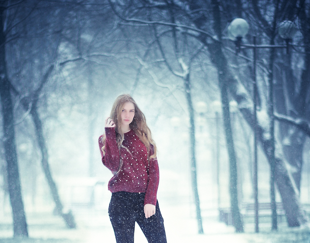 В снежной дымке