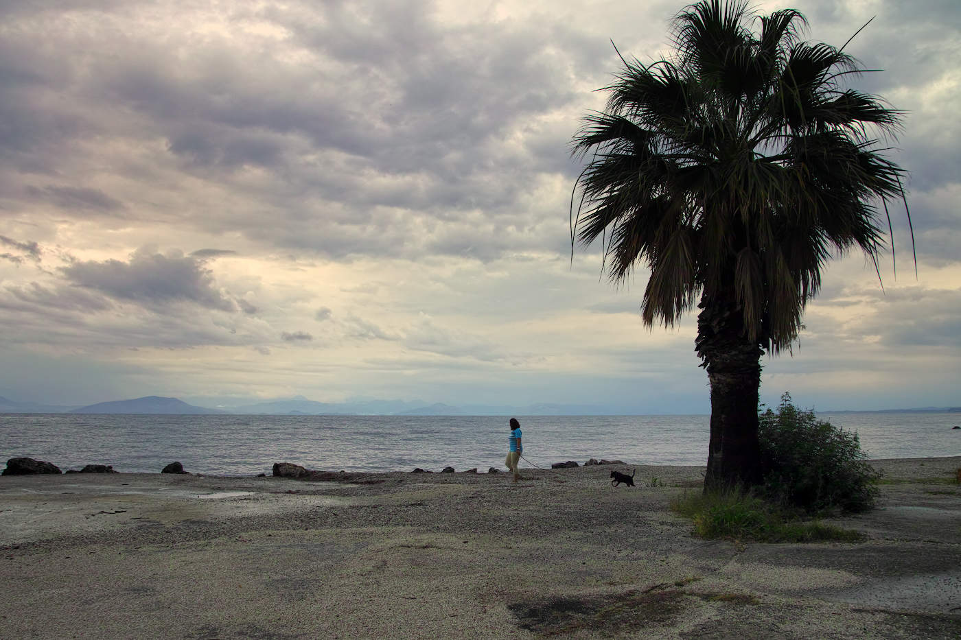 Дама с собачкой