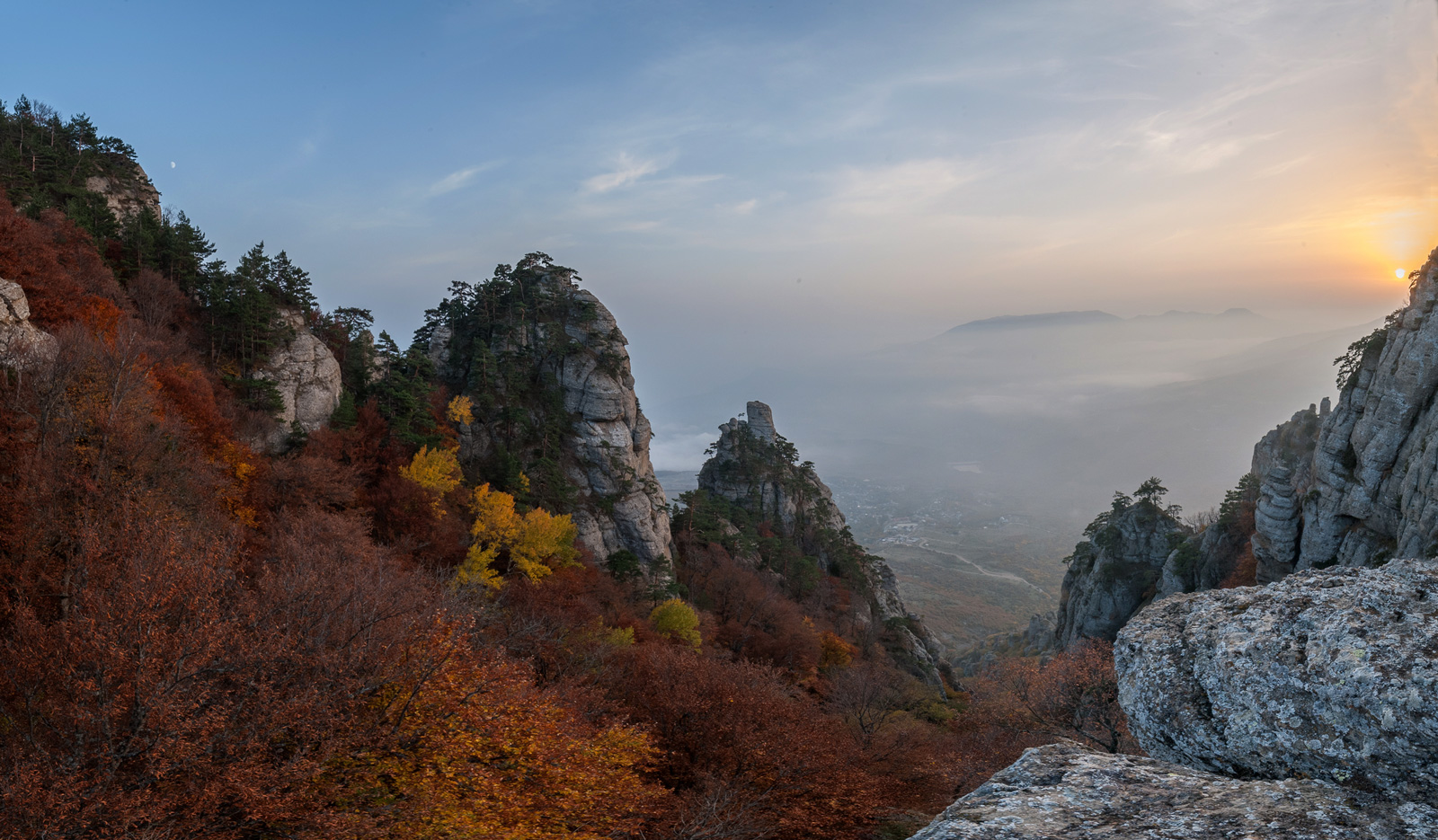 Почти Пандора