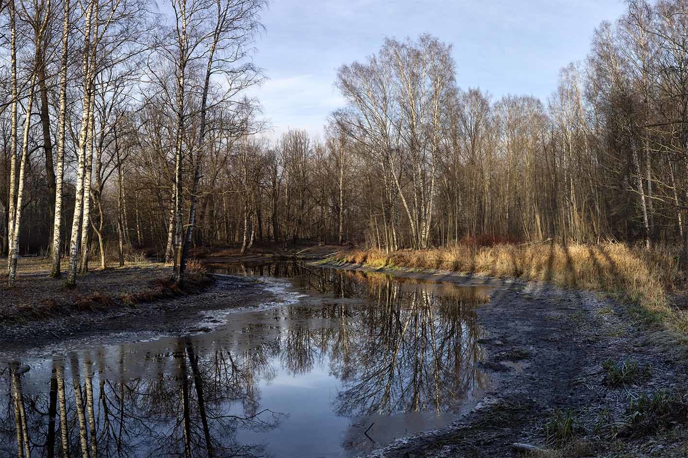 Поздняя осень...