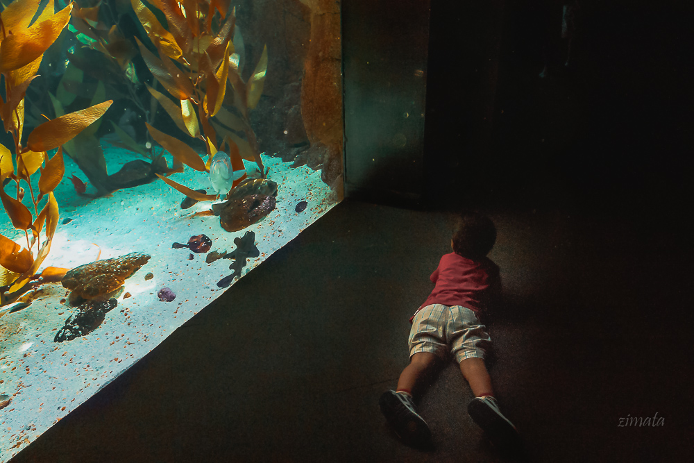 На темной стороне