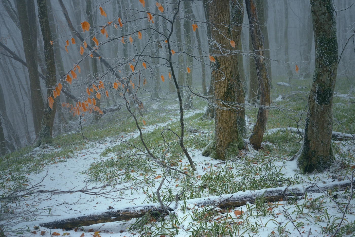 Поздняя осень
