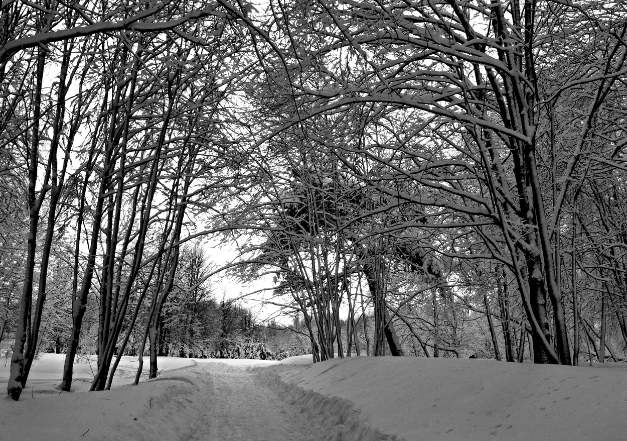 На темной стороне