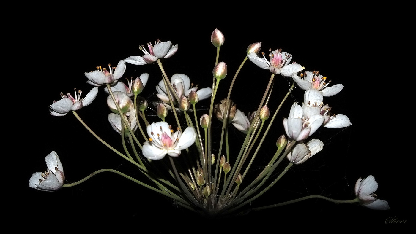 На темной стороне