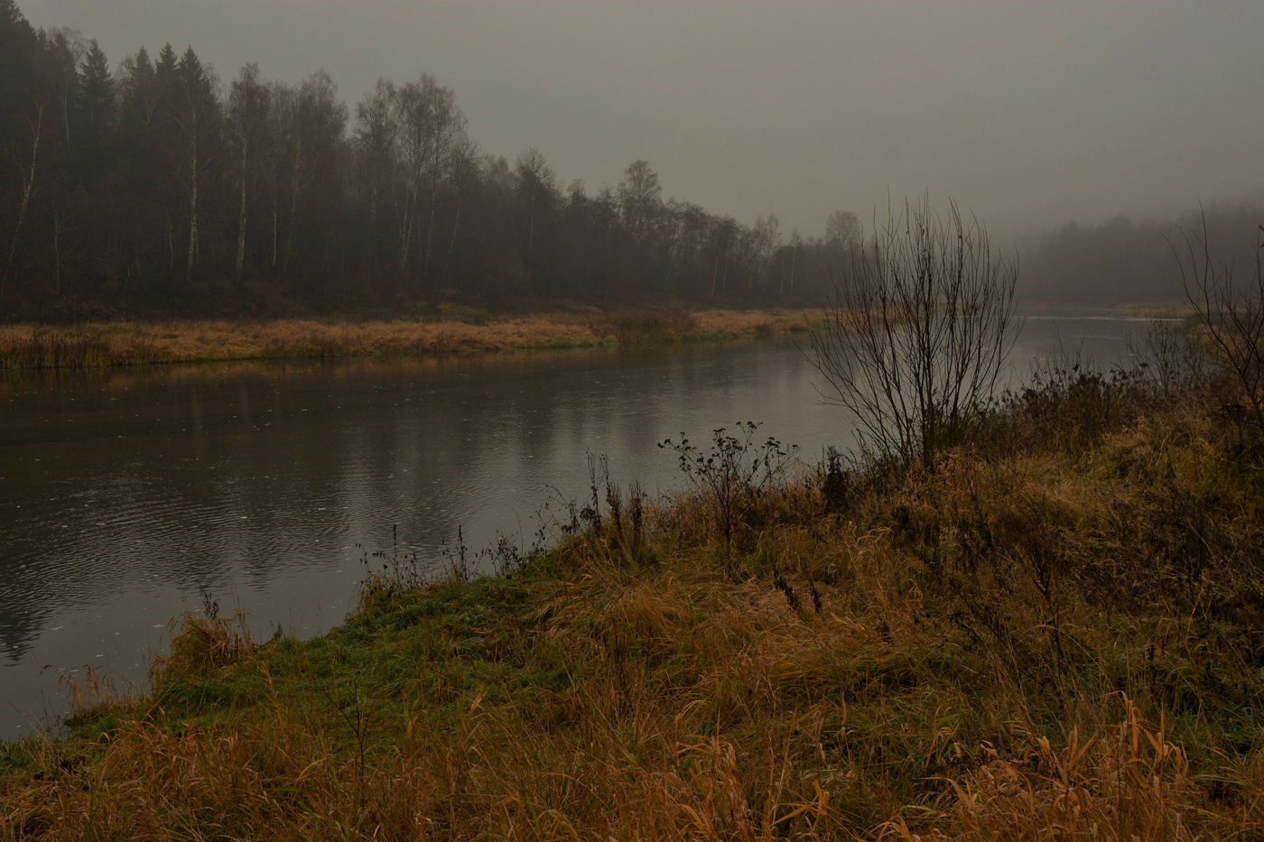"Утро серое, хмурое, дождь не далЕк. Осень ..."
