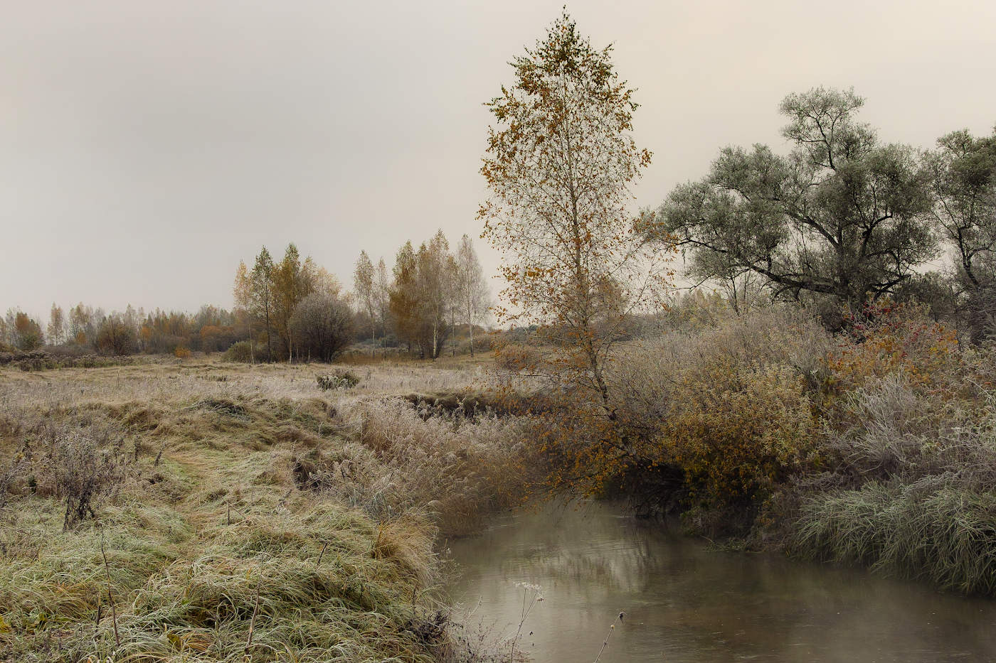 Первые заморозки