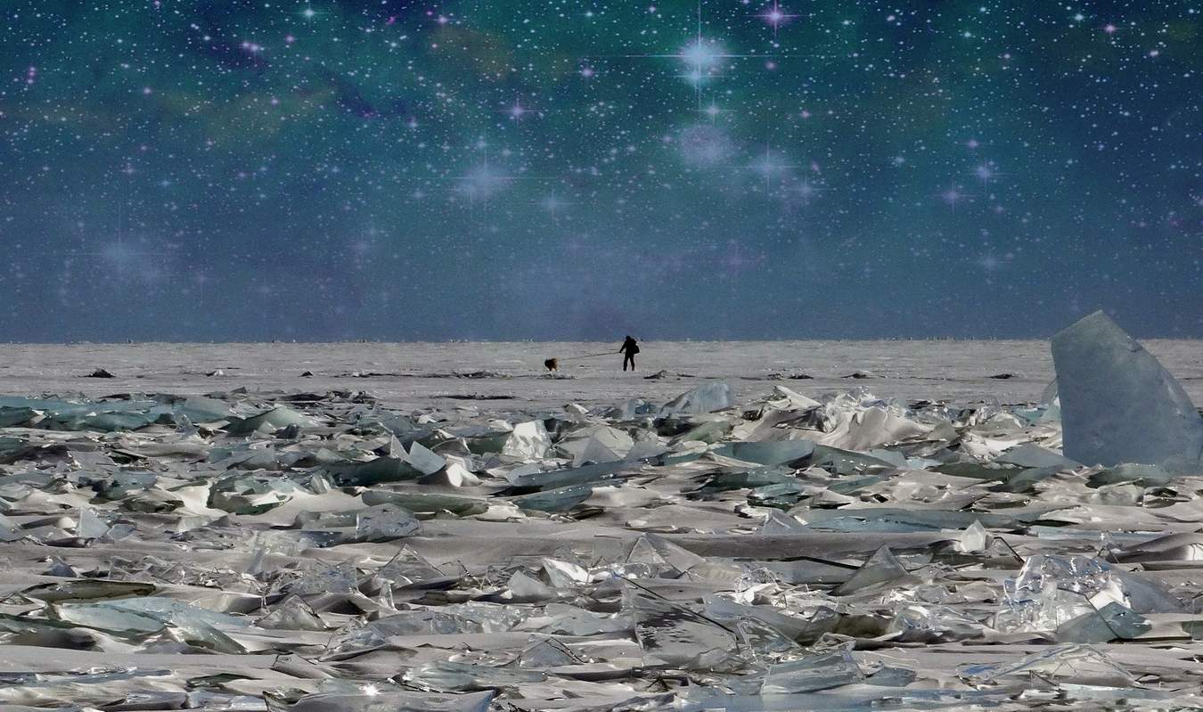 Скиджоринг в зимнюю ночь