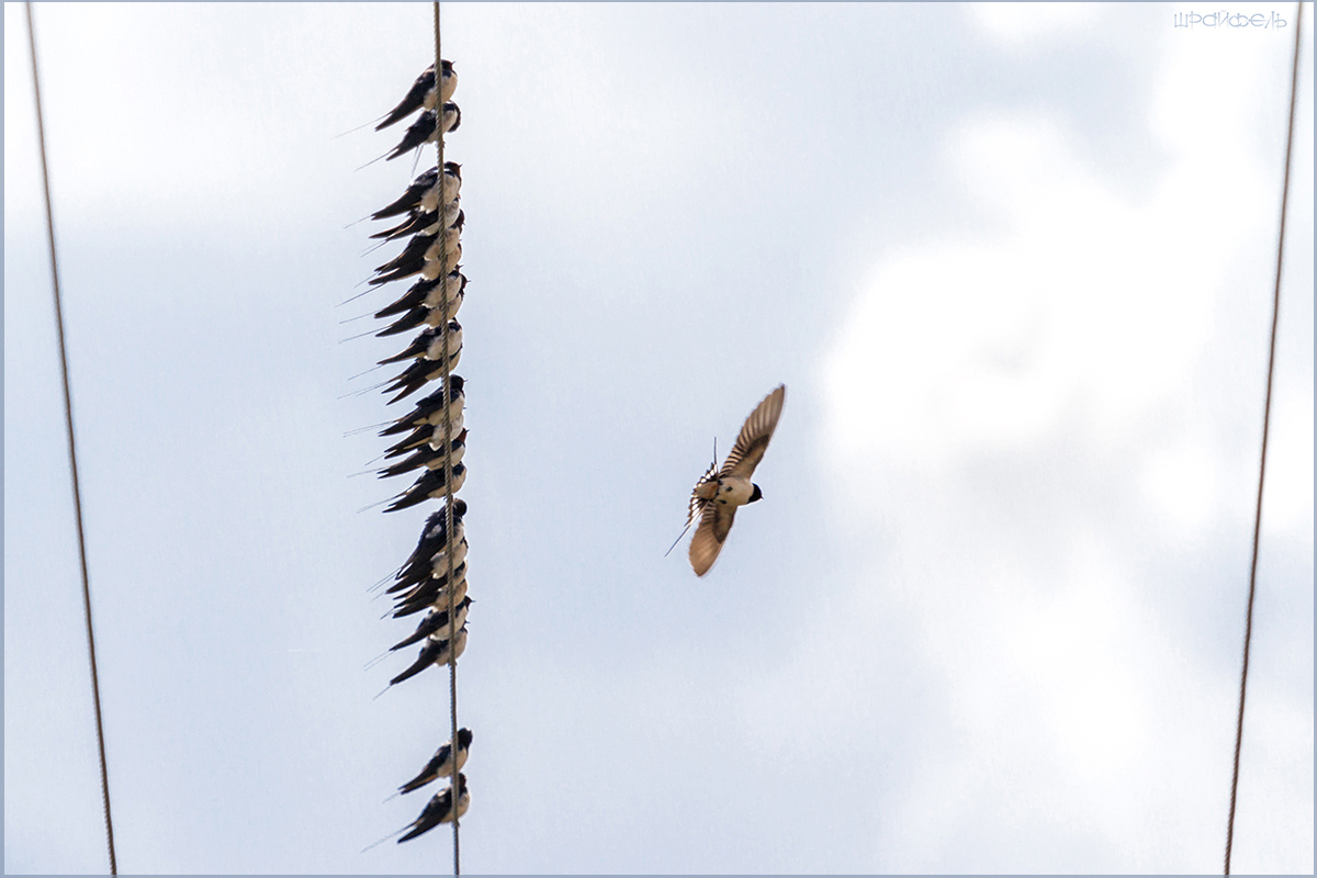 Мастер-класс