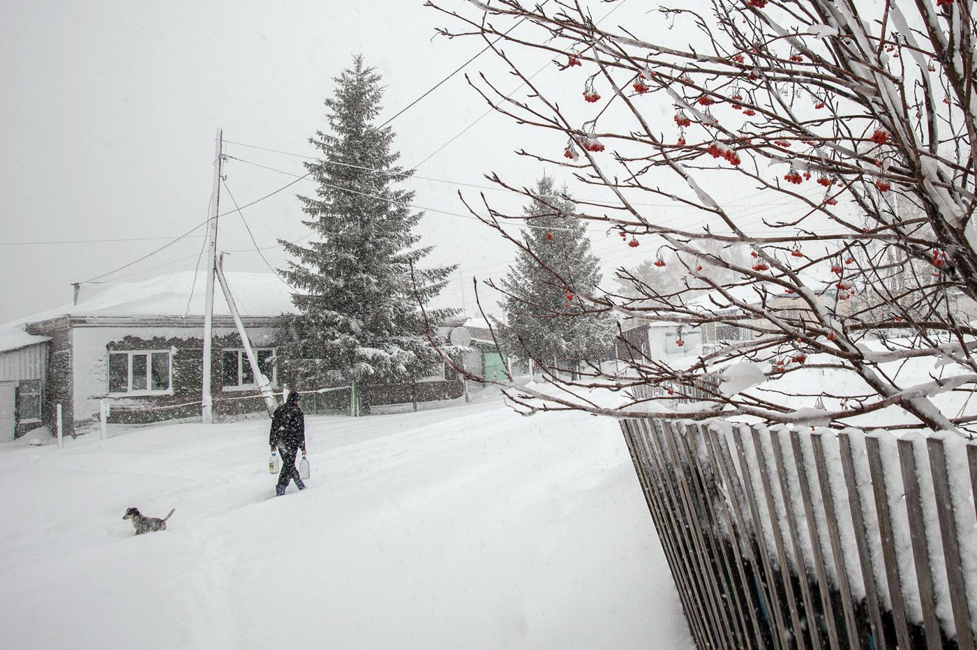 Последний день осени...