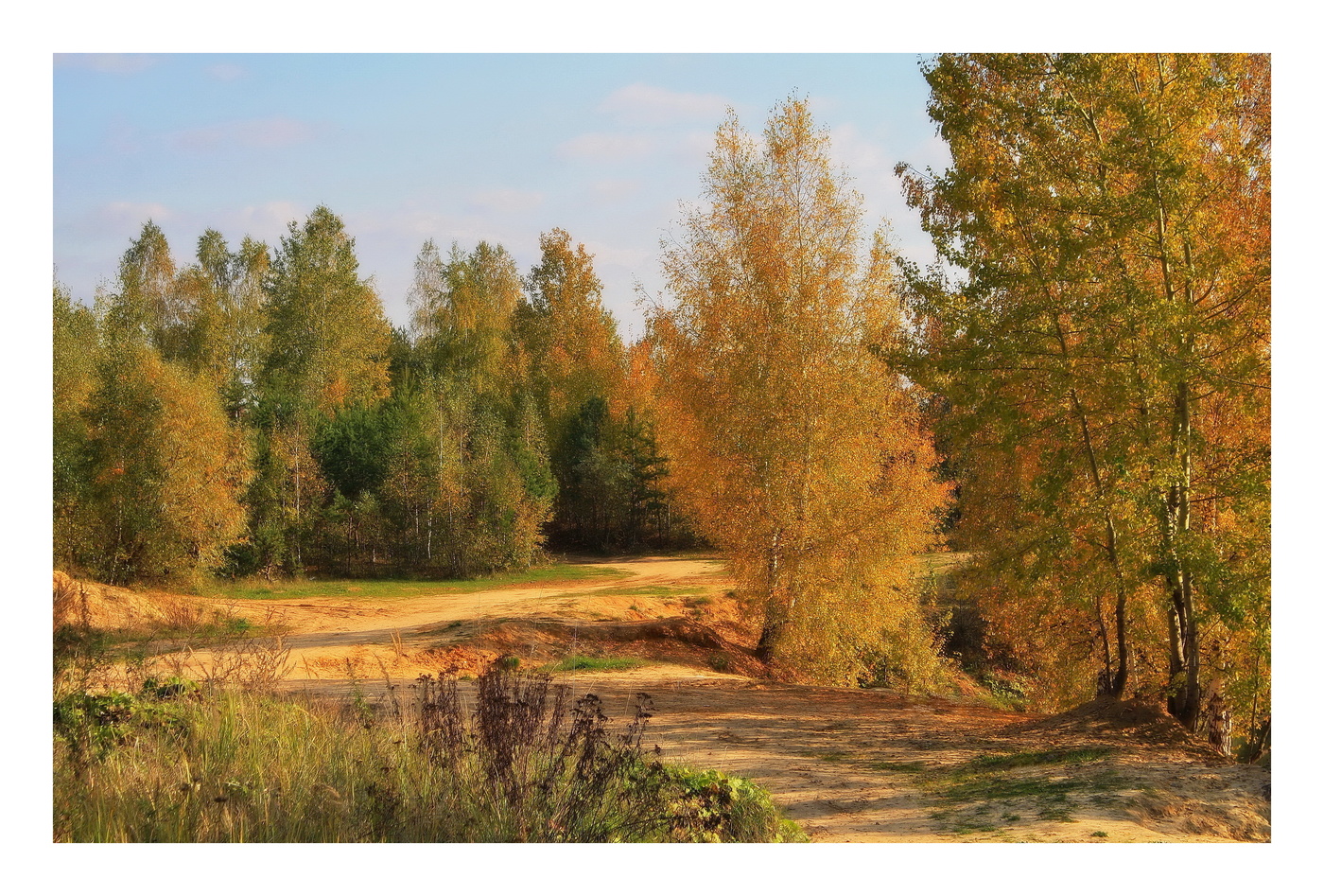 Осенняя палитра