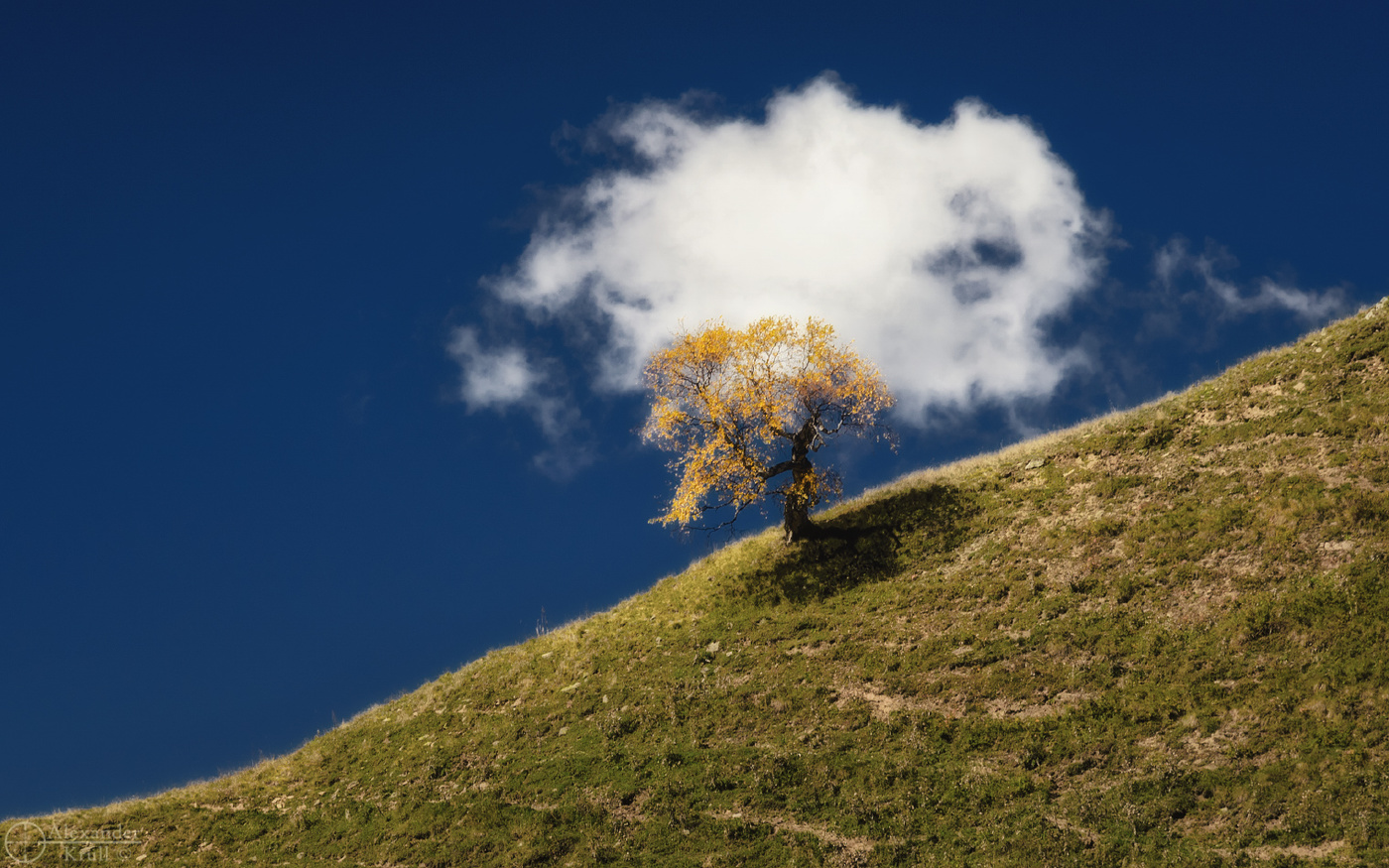 Два слова про осень...
