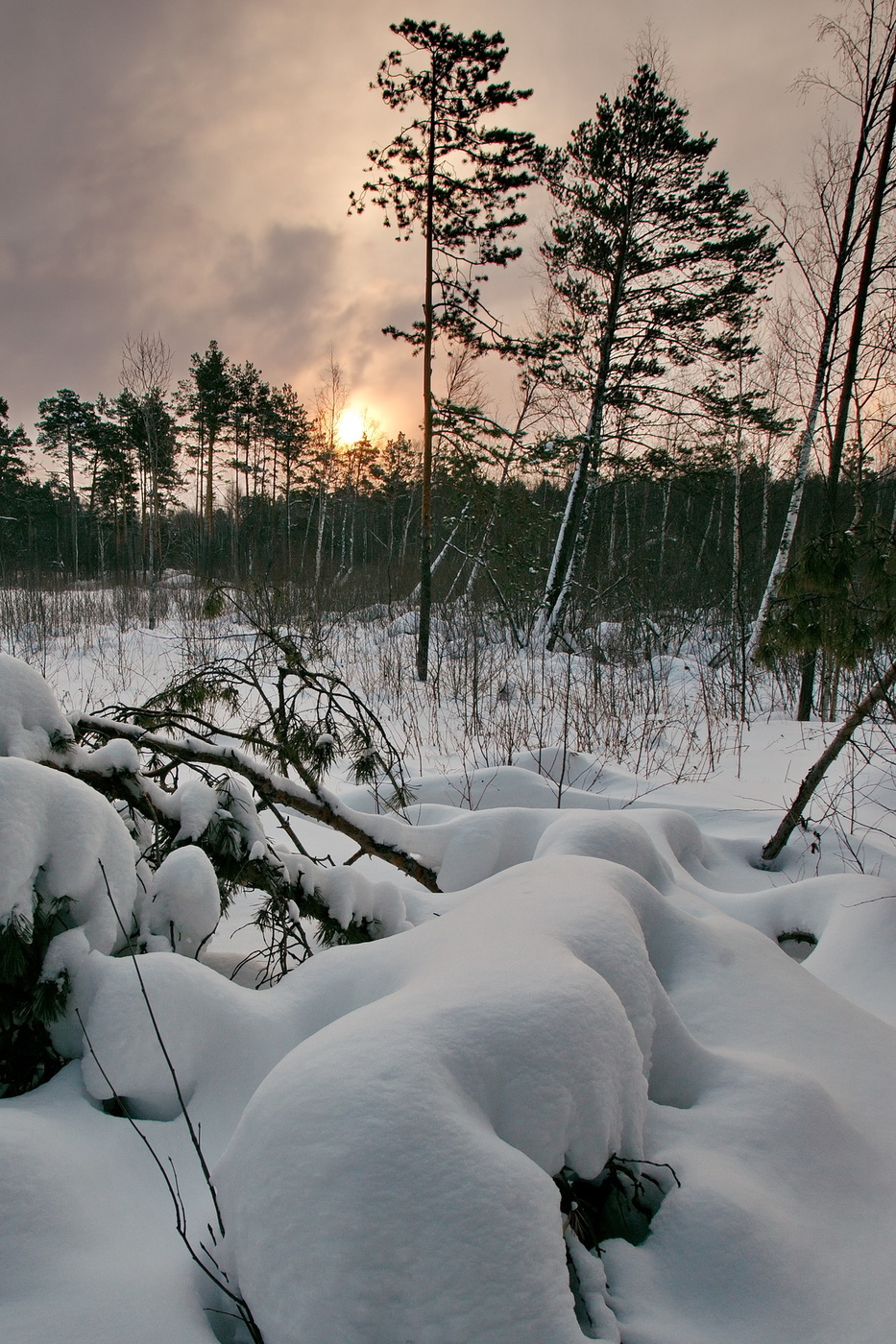 Декабрьским днём.