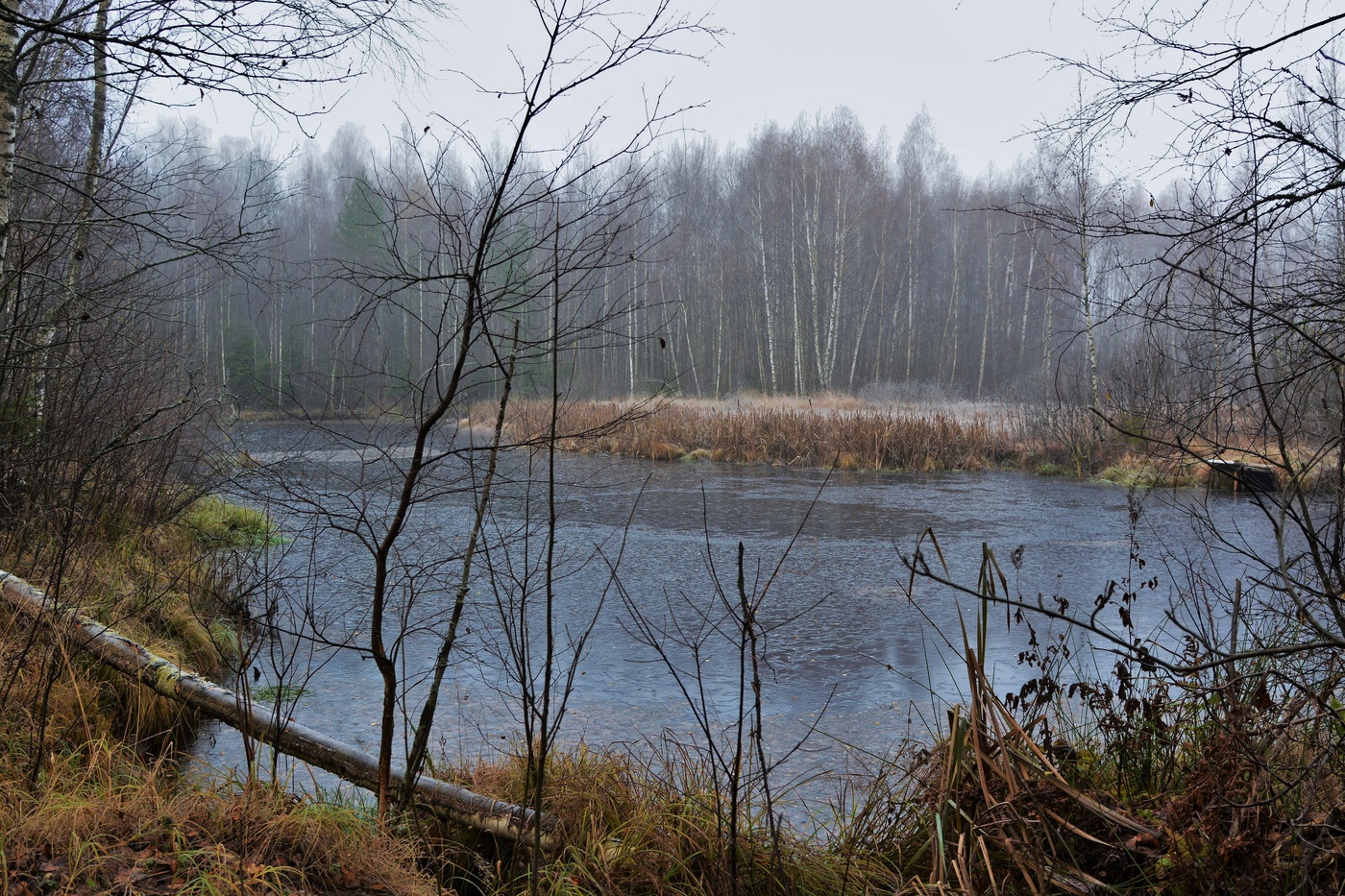 "И деревья, как нищие старцы, стоят ..."