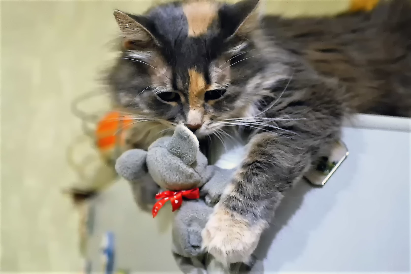 Мышка-норушка.