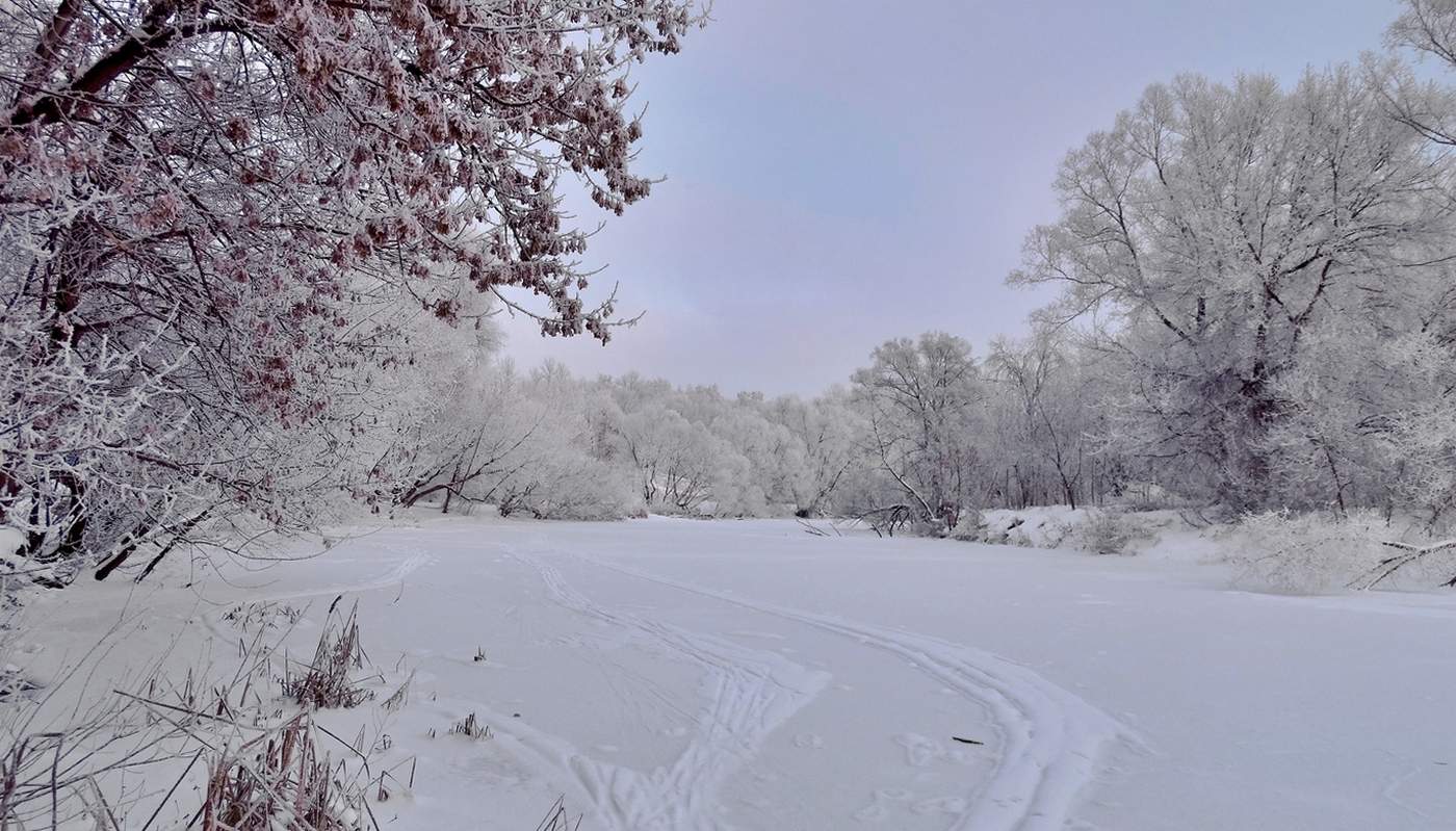 Вот и зима пришла