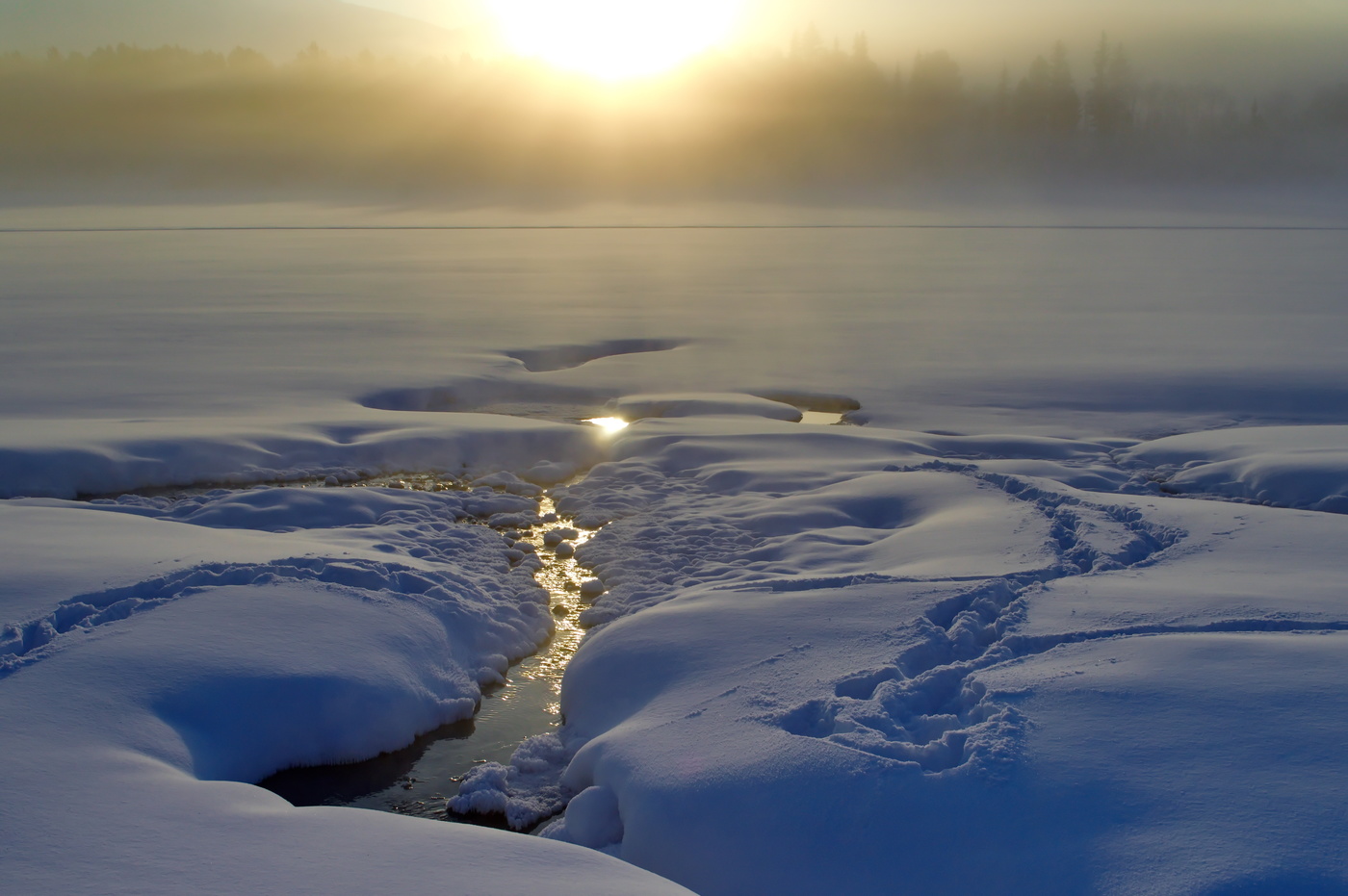 незамерзающие родники