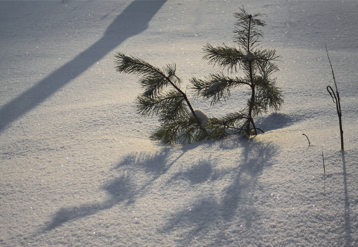 зимние танцы,или третий лишний