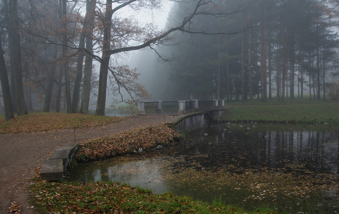 Утро в октябре...
