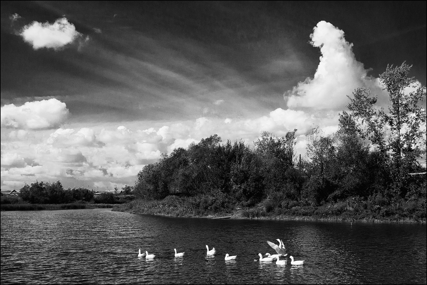 пастораль с птичками за неделю до новолуния