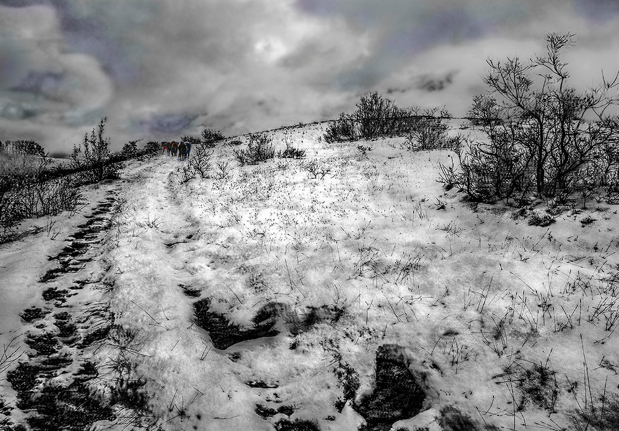 Дорога в ненастье