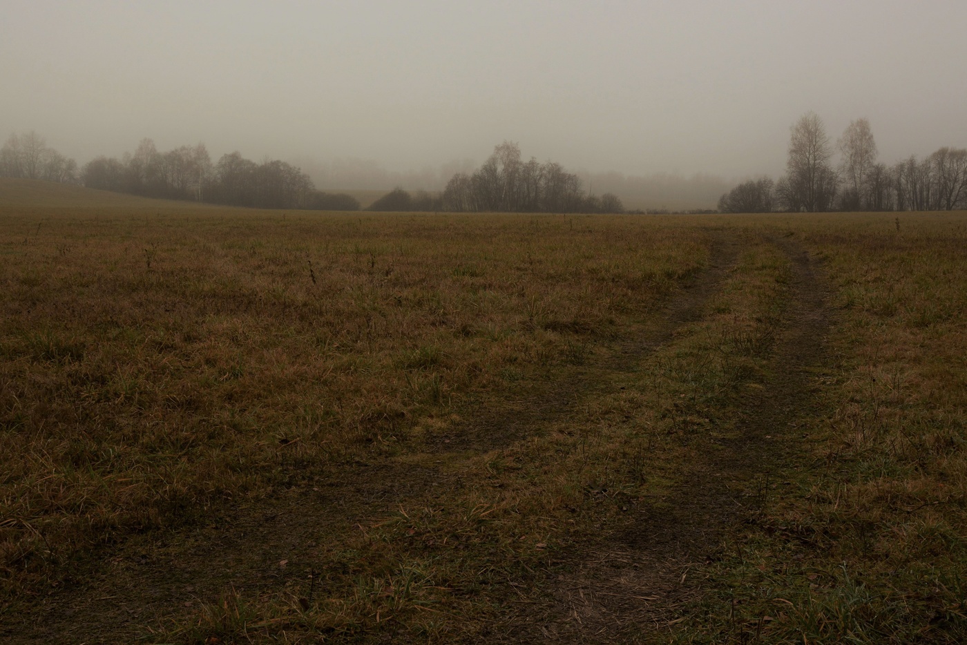 "Бесконечное серое утро, от рассвета до нового дня..."
