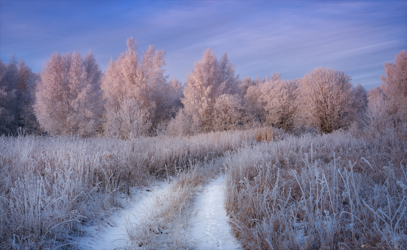 По тропинке в зиму.