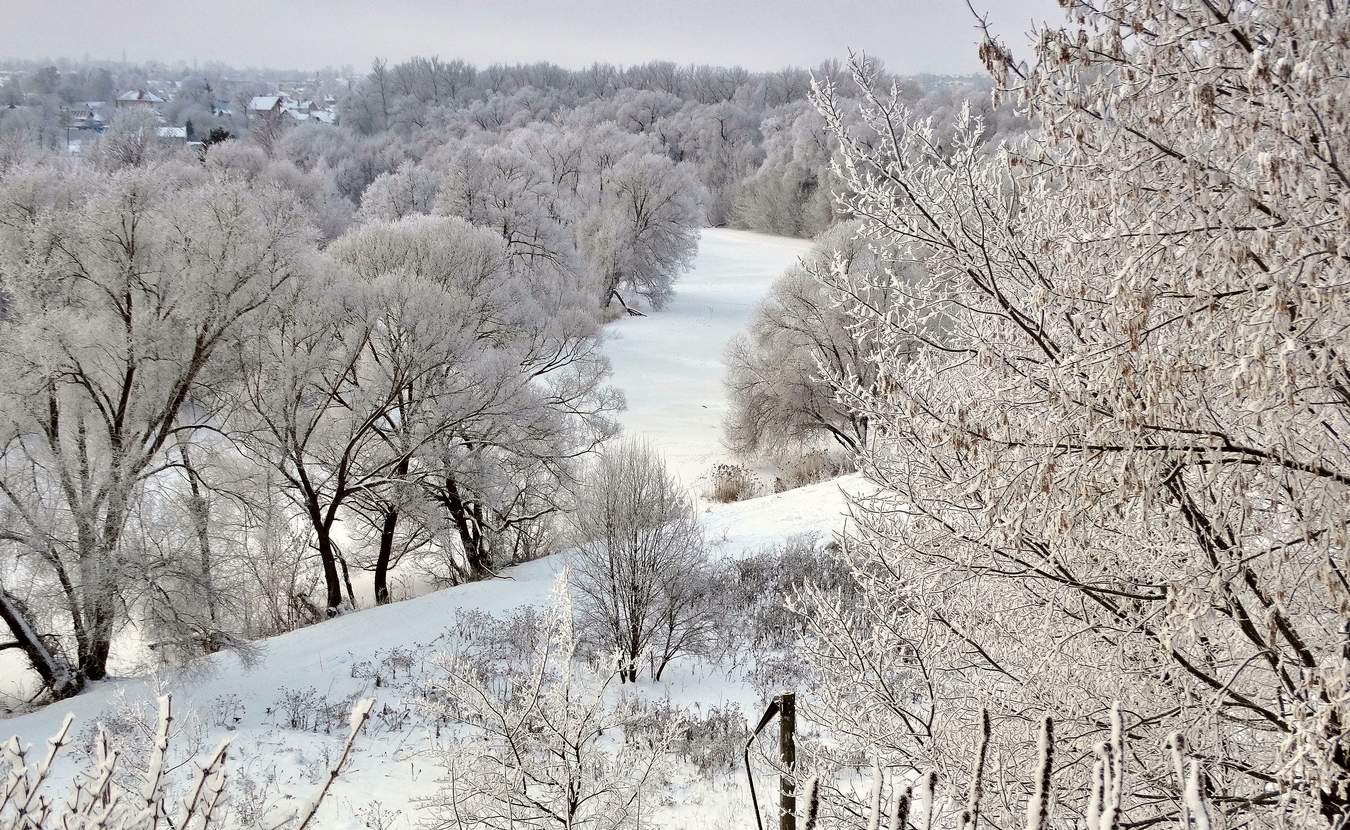 Заснежило и заиндевело