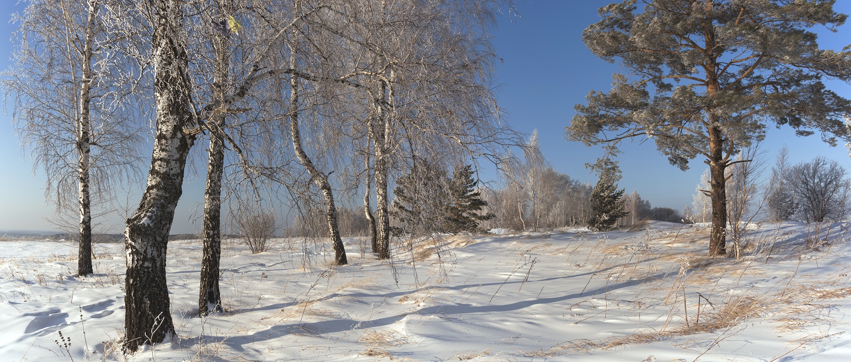 Зимний полдень.