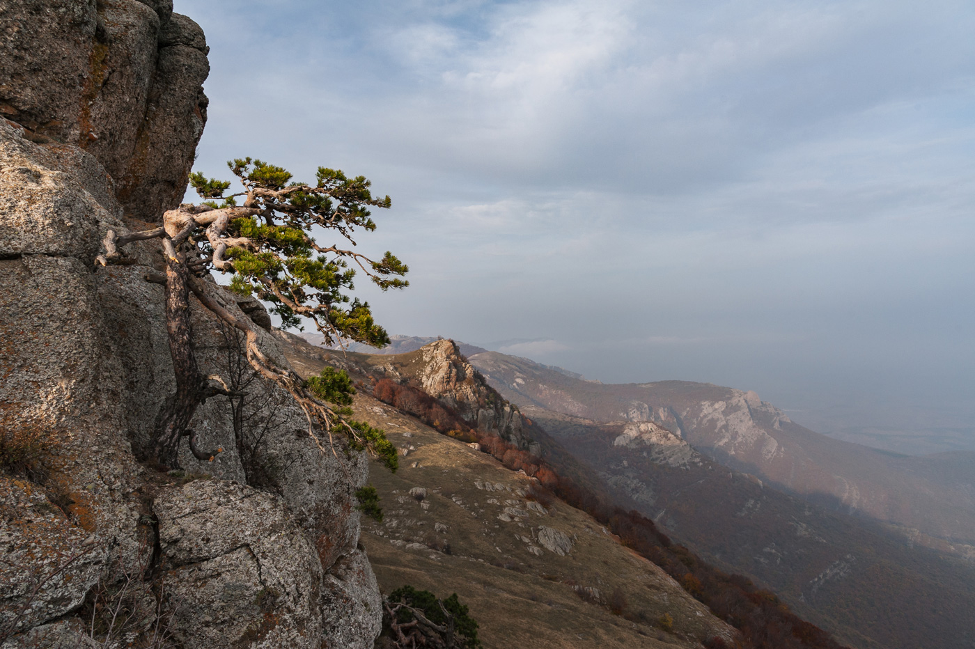 На семи ветрах...