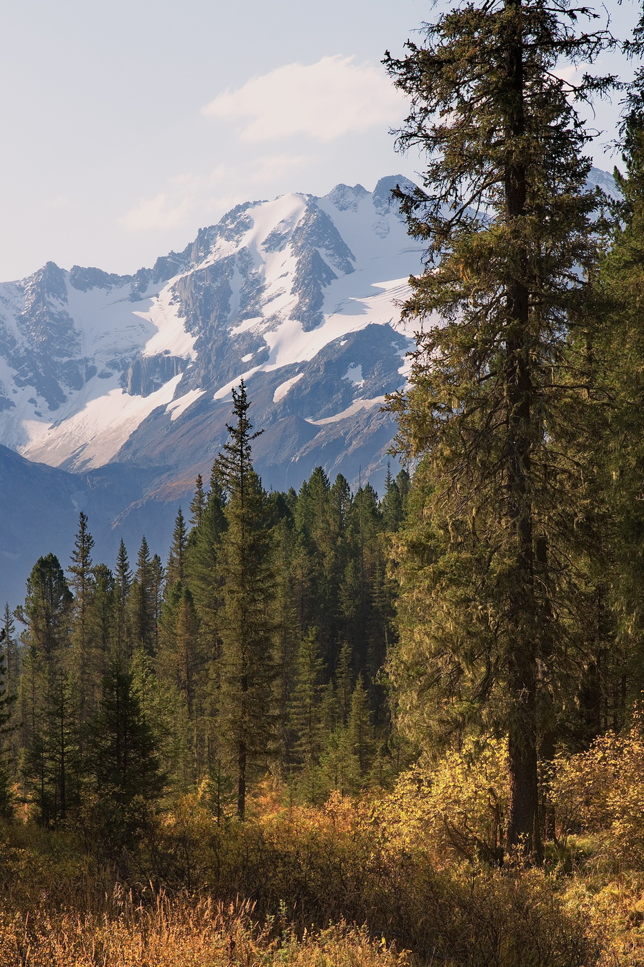 Сентябрьский полдень.
