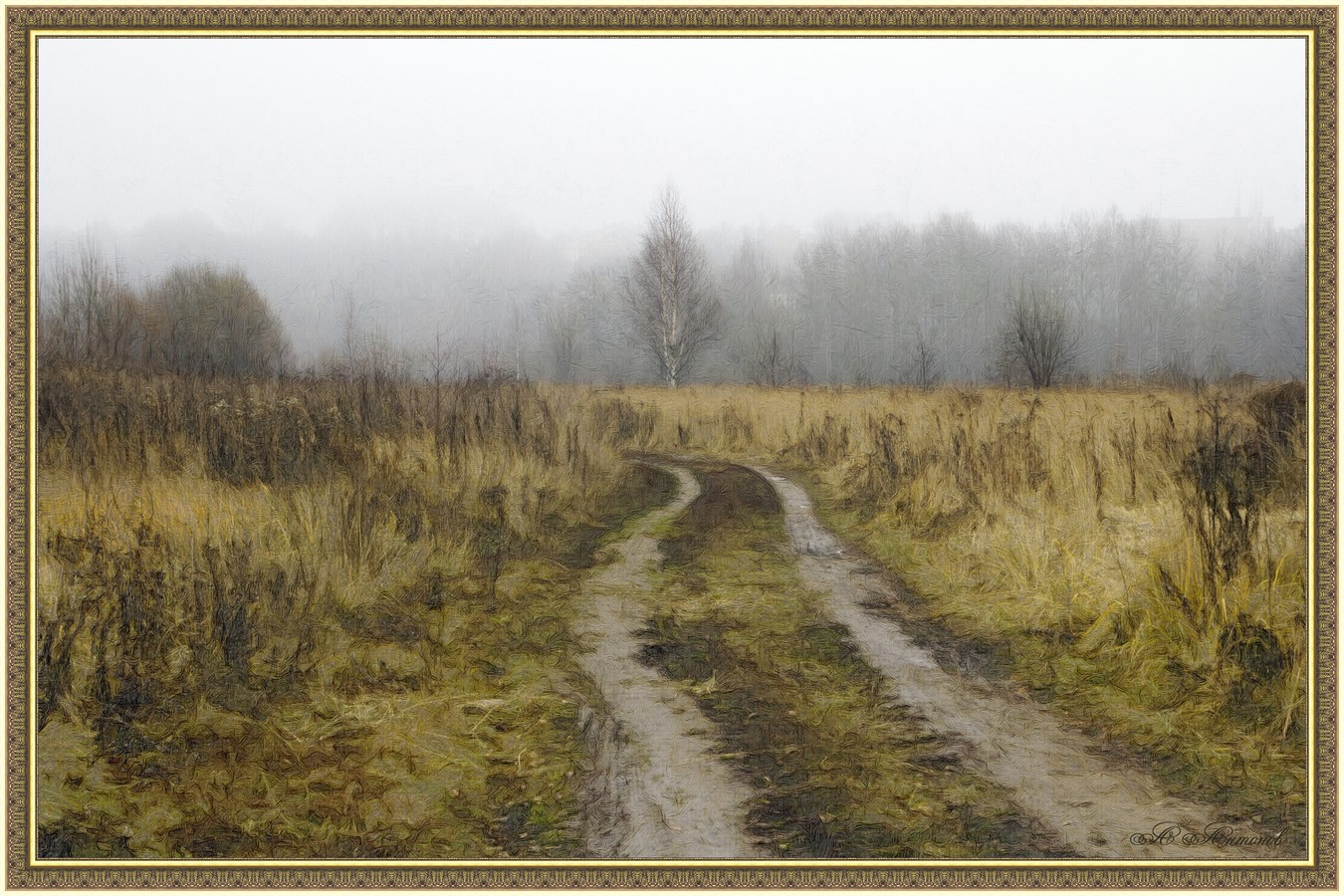 Дорога в лес