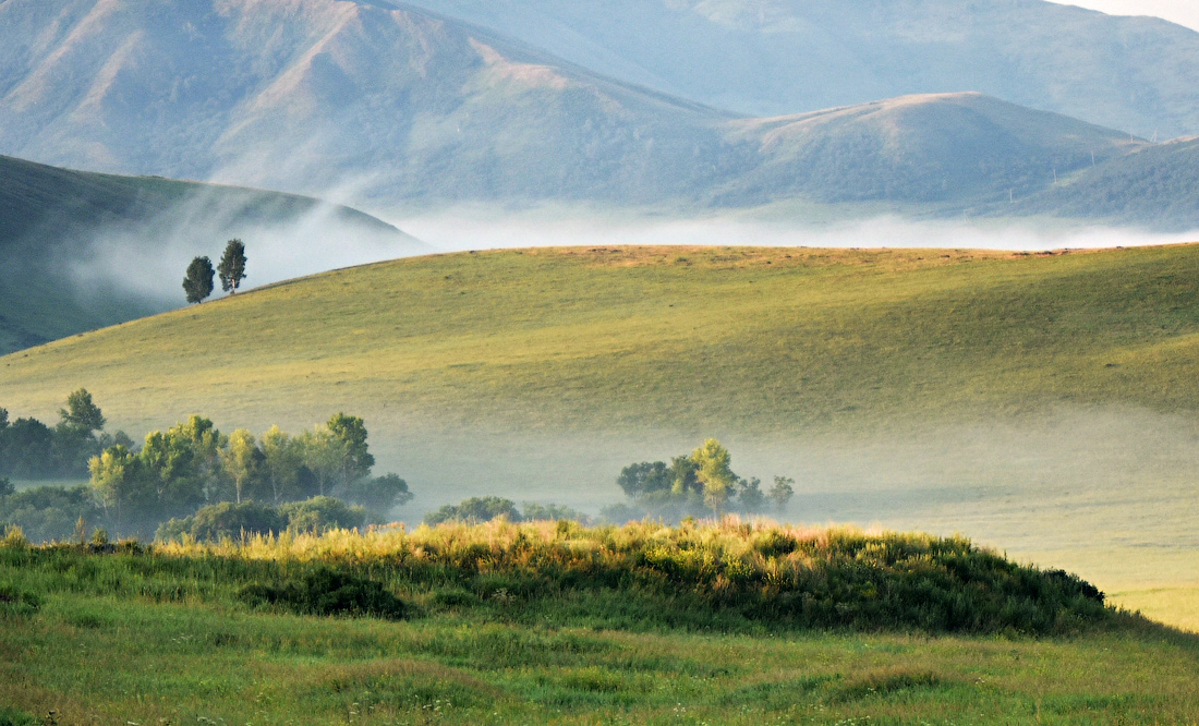 Вспоминая о лете