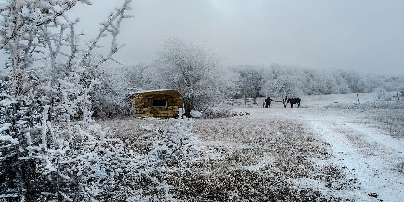 Морозный день