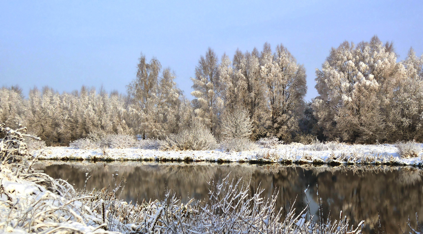 В снежном декабре