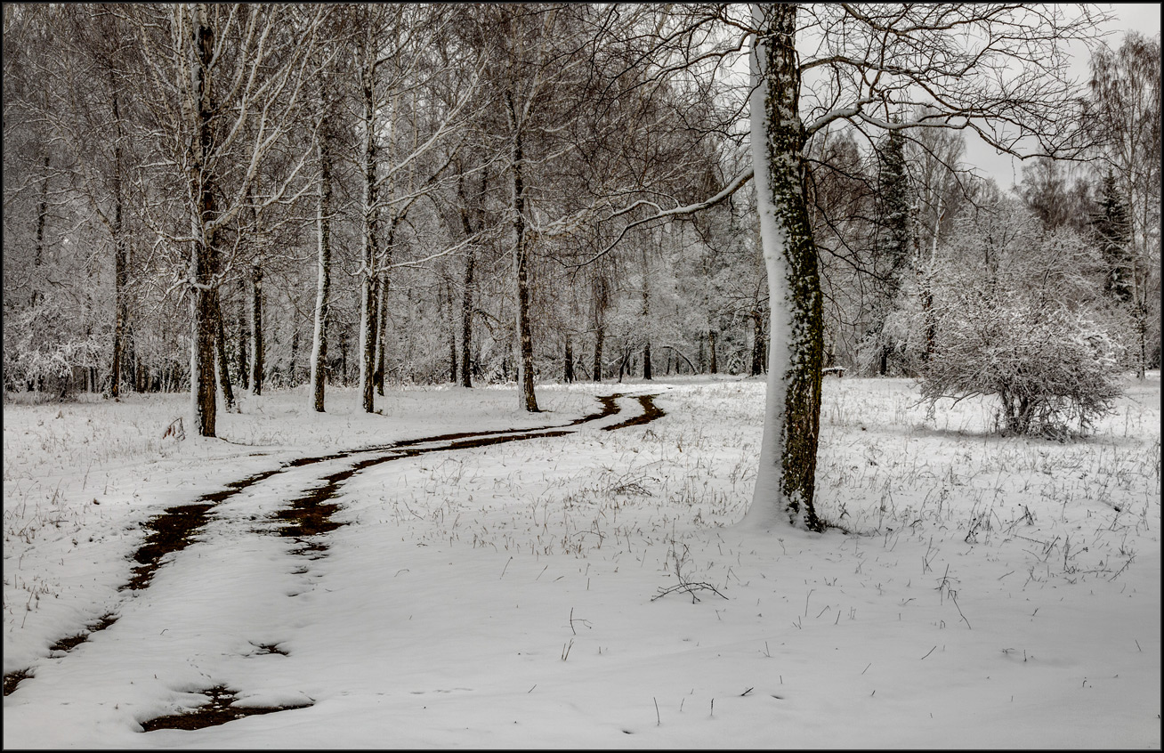 Без названия