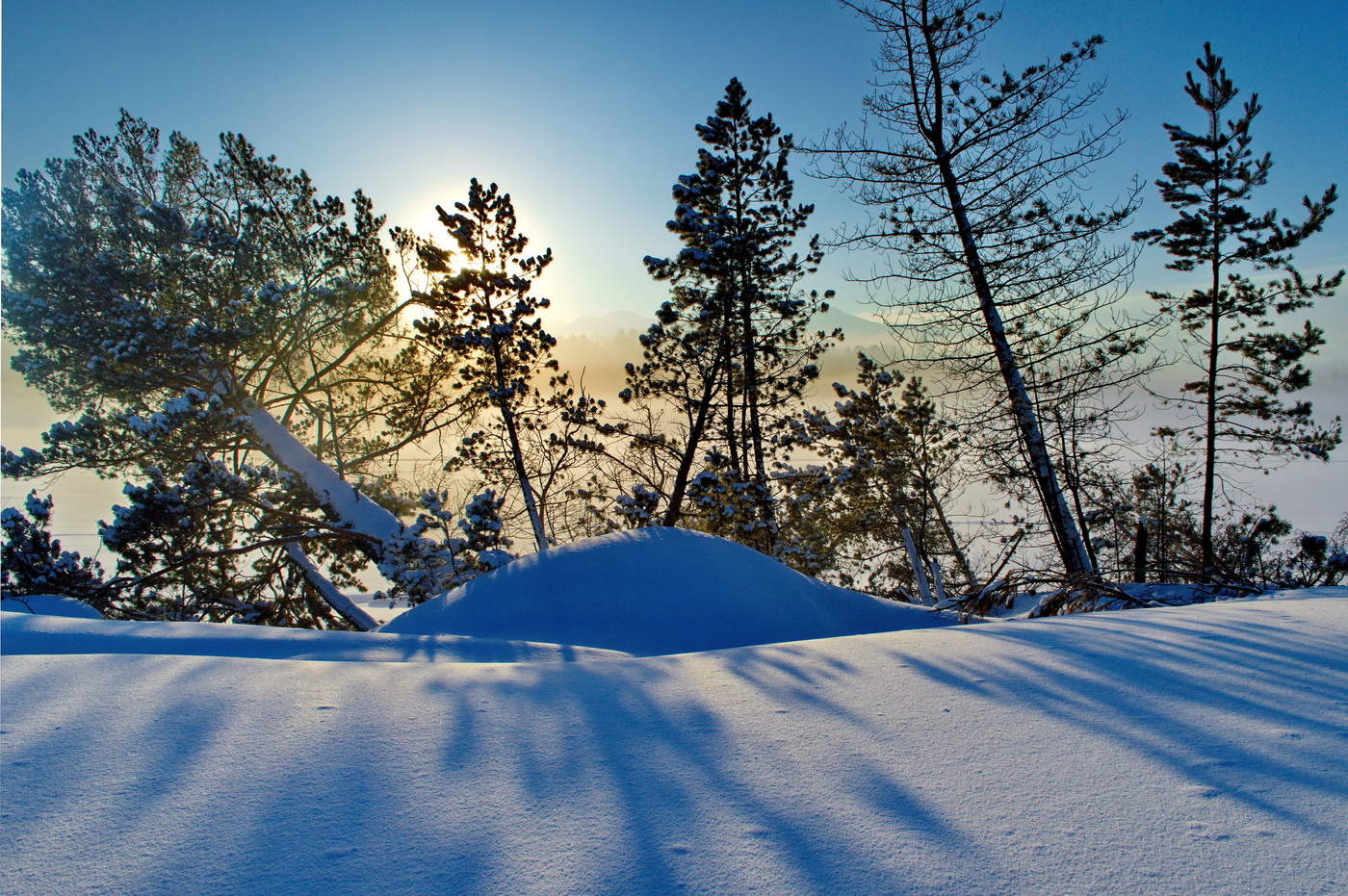 морозное утро